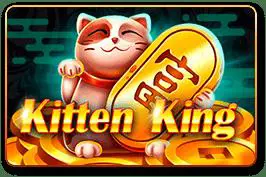 Kitten King - Marakumi - Kenya