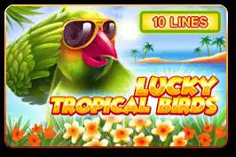 Lucky Tropical Birds - Marakumi - Kenya
