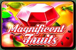 Magnificent Fruits - Marakumi - Kenya