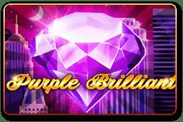 Purple Brilliant - Marakumi - Kenya