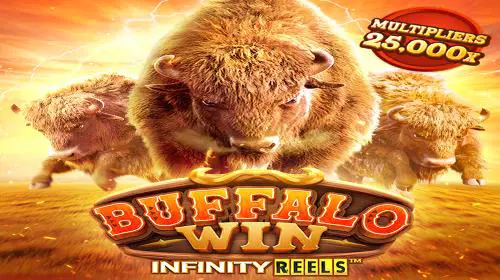 Buffalo Win - Marakumi - Kenya