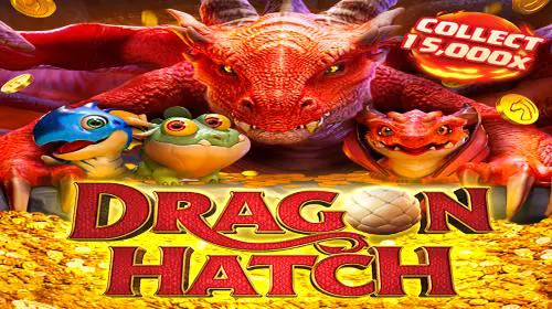 Dragon Hatch - Marakumi - Kenya