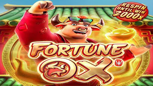 Fortune Ox - Marakumi - Kenya