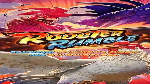 Rooster Rumble - Marakumi - Kenya