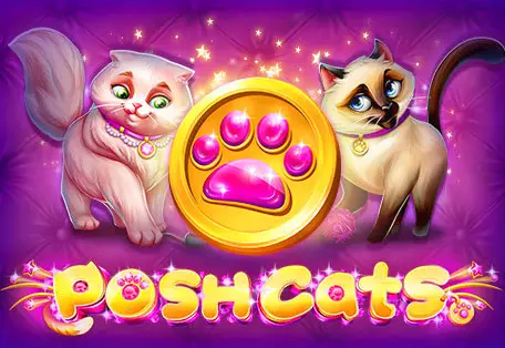 Posh Cats - Marakumi - Kenya
