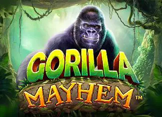 Gorilla Mayhem - Marakumi - Kenya
