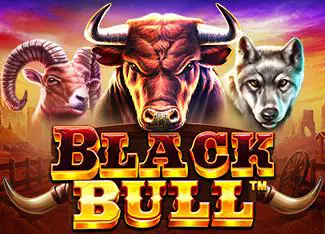 Black Bull - Marakumi - Kenya