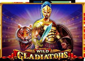 Wild Gladiator - Marakumi - Kenya