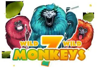7 Monkeys - Marakumi - Kenya