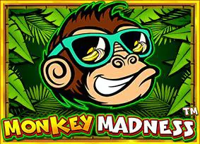 Monkey Madness - Marakumi - Kenya