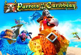 Parrots of the Caribbean - Marakumi - Kenya