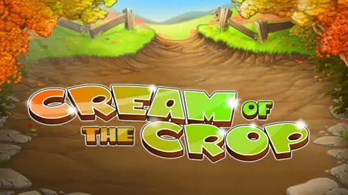 Cream of the Crop - Marakumi - Kenya