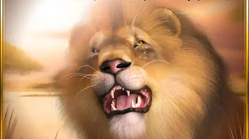 '"Lion''s Roar"' - Marakumi - Kenya
