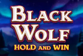 Black Wolf - Marakumi - Kenya