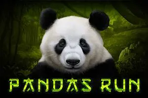 Panda's Run - Marakumi - Kenya