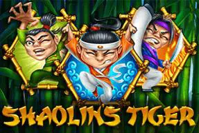 Shaolin Tiger - Marakumi - Kenya