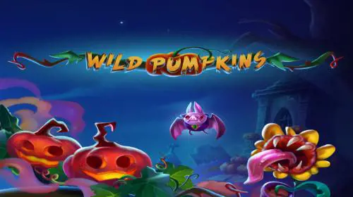 Wild Pumpkins - Marakumi - Kenya