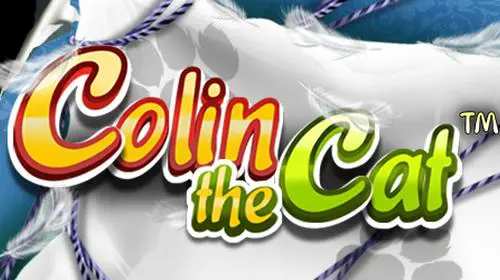 Colin The Cat - Marakumi - Kenya
