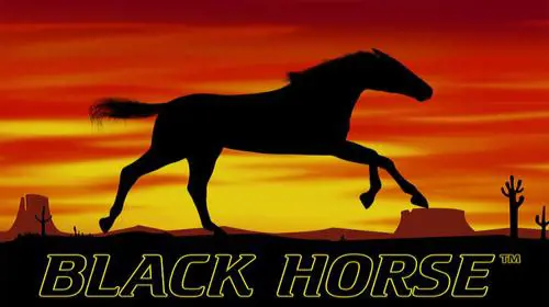 Black Horse - Marakumi - Kenya