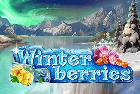 Winterberries Mobile - Marakumi - Kenya