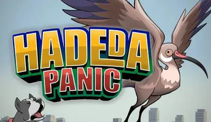 Hadeda - Marakumi - Kenya